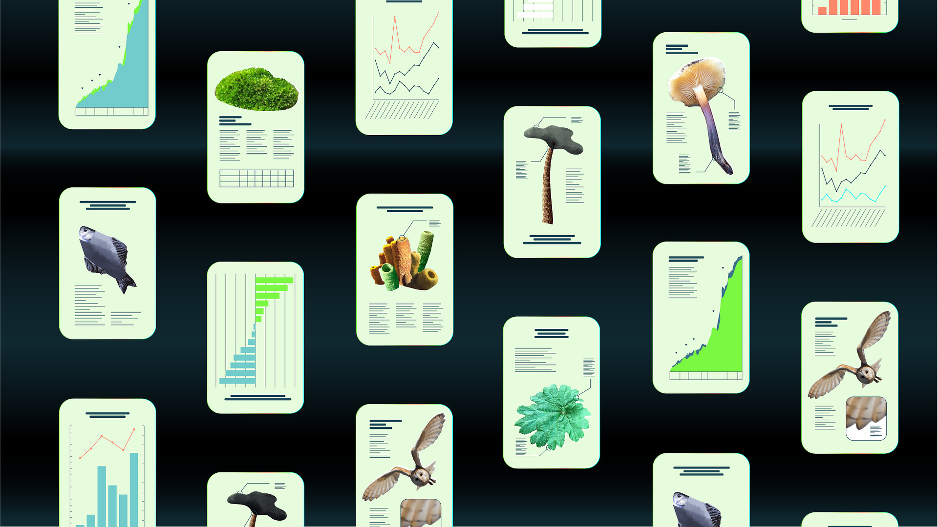 Screenshot of the developed website